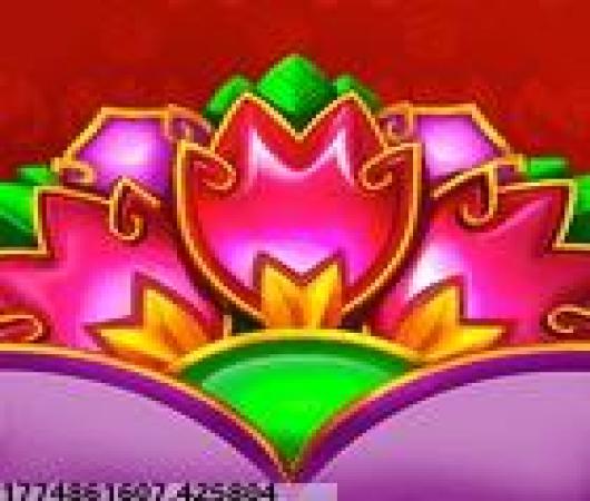 帝国时代之罗马复兴百度版